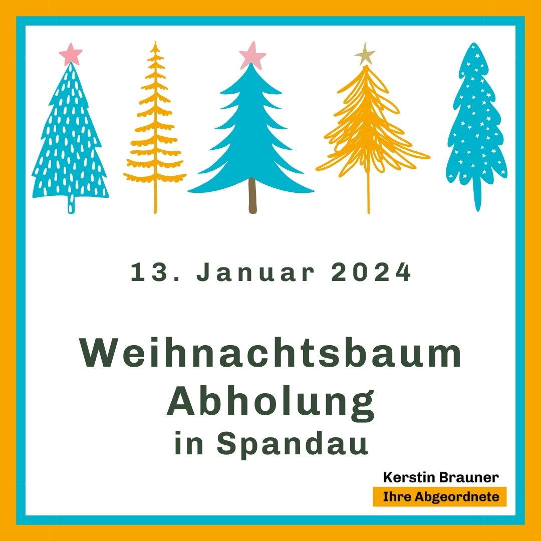 Weihnachtsbaum Abholung 2024